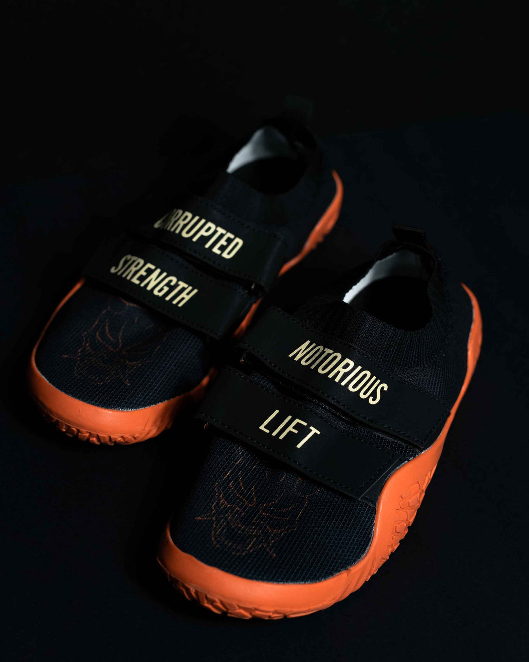 Corrupted Strength x Notorious Lift Slipper